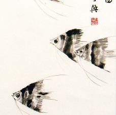 P2